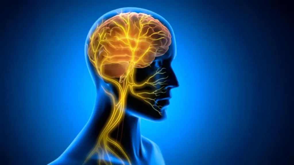 تحریک عصب واگ؛ راهی نوین برای یادگیری مؤثرتر مهارت‌ها